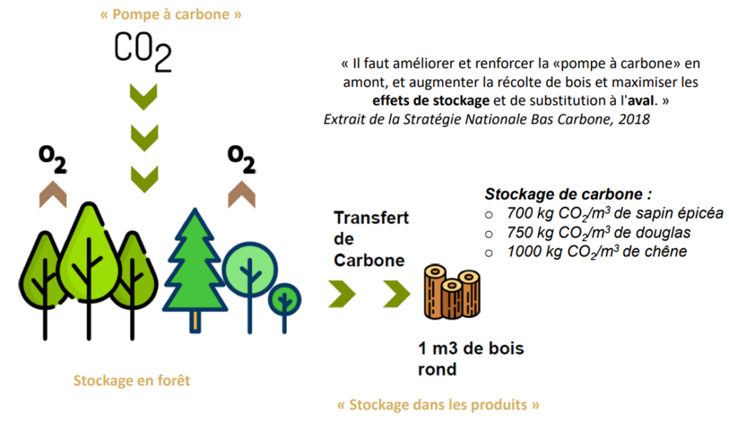 carbone biogénique FDES