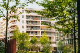aménagement urbain végétalisé